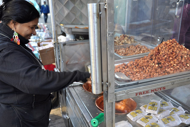 FREE NUTS: REINVESTING IN HARLEM